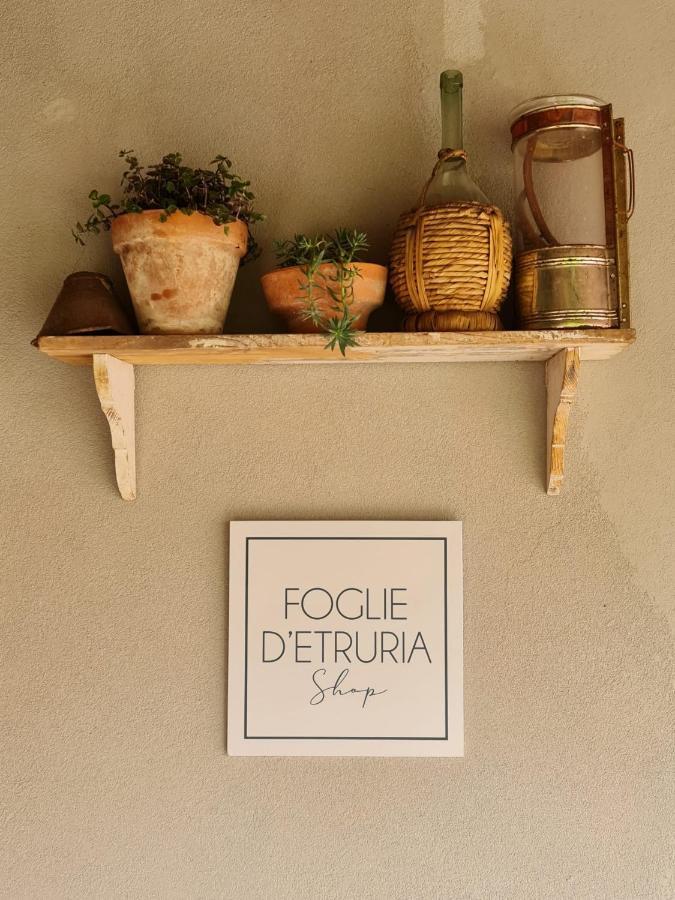 Il Pievano B&B Campiglia Marittima Dış mekan fotoğraf