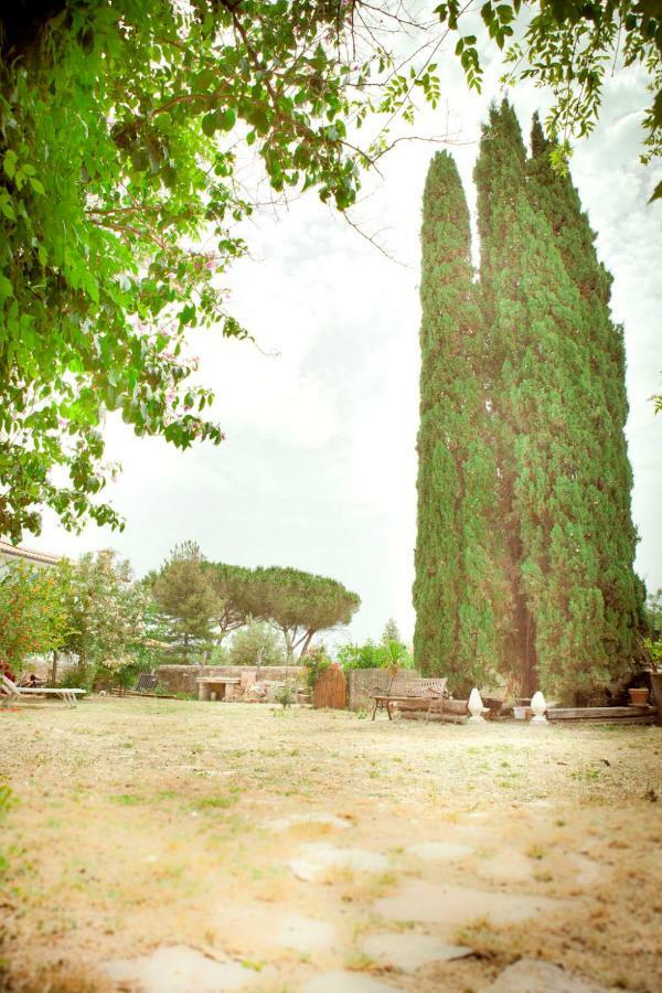 Il Pievano B&B Campiglia Marittima Dış mekan fotoğraf